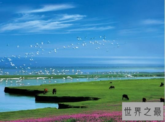 1.中国最大的咸水湖:鄱阳湖 1.中国最大的咸水湖:鄱阳湖
