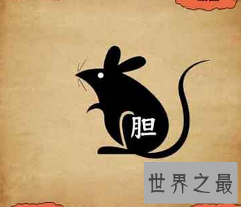 【图】 令人害怕的哺乳动物老鼠 你能知道多少鼠的成语