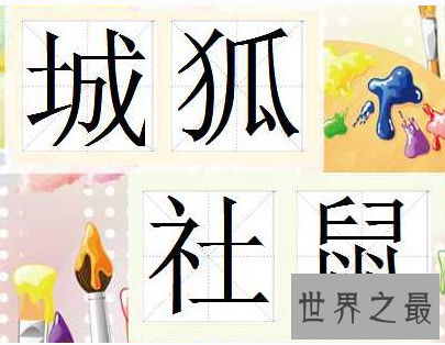 【图】 令人害怕的哺乳动物老鼠 你能知道多少鼠的成语