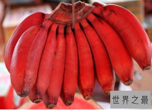 10.红香蕉