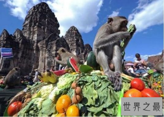 3.泰国:华富里省的猴子自助餐节 3.泰国:华富里省的猴子自助餐节