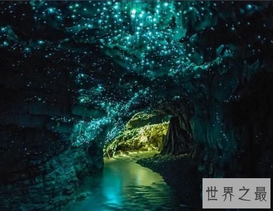 6.新西兰 萤火虫洞