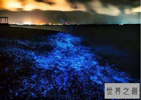 7.马尔代夫 星星海