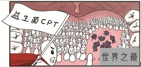 【图】益生菌的作用，益生菌那个牌子好，价位大约是