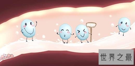 【图】益生菌的作用，益生菌那个牌子好，价位大约是