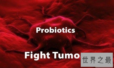 【图】益生菌的作用，益生菌那个牌子好，价位大约是