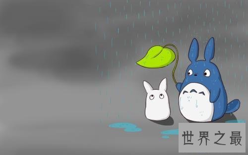 【图】龙猫好养吗，龙猫的价钱是多少，看完这篇你就