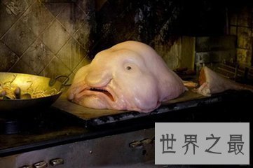 【图】鮟鱇是泛滥鱼类中的一种 它的形状很顺便 营养价