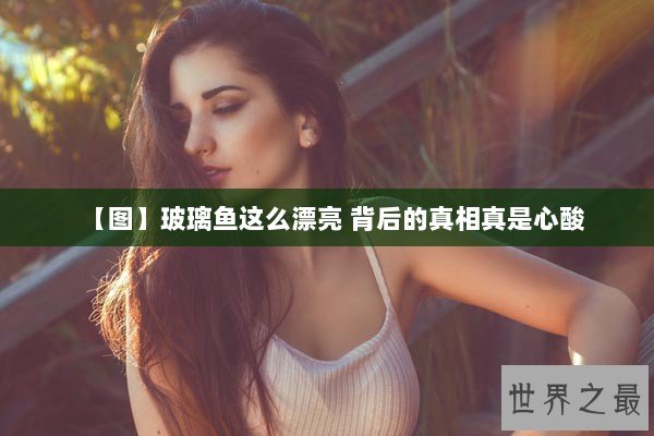 【图】玻璃鱼这么漂亮 背后的真相真是心酸