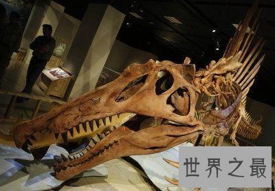 【图】体型最大的食肉性恐龙,棘背龙战役力惊人