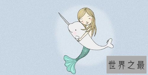 【图】独角鲸，长这么长的角，一集体应该很孤单吧