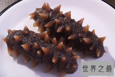 【图】海参的做法知道海参是大补食品么要学会怎样吃