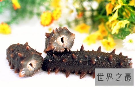 【图】海参的做法知道海参是大补食品么要学会怎样吃