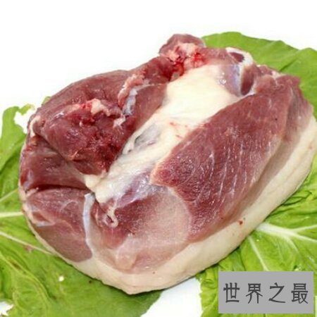 【图】今天来带大家去了解一下野猪肉怎样做好吃