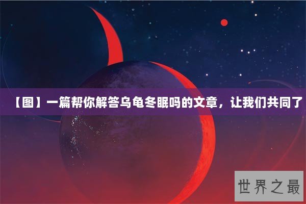 【图】一篇帮你解答乌龟冬眠吗的文章，让我们共同了
