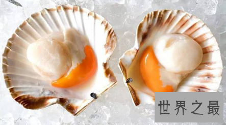 【图】扇贝的做法教会你如何做出好吃美味的扇贝哦