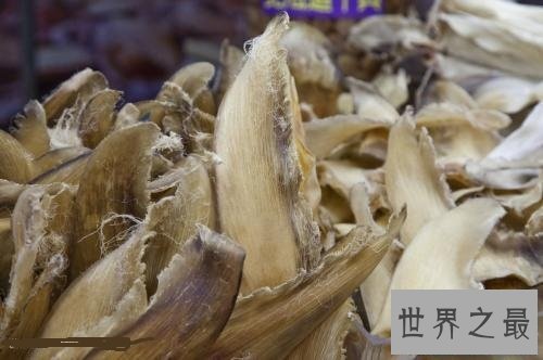 【图】山珍海味之美味鱼翅的做法 你了解多少？