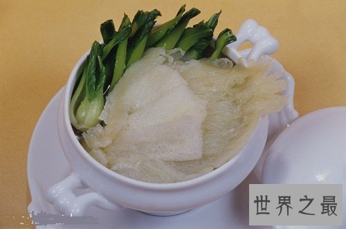 【图】山珍海味之美味鱼翅的做法 你了解多少？