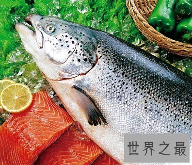 【图】三文鱼这样的美味你知道怎样能力吃到最好的么