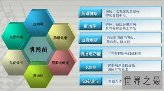 【图】益生菌,这种常常在酸奶里出现的货色终究有什