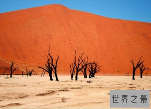 6.世界上最陈旧的沙漠 纳米比沙漠