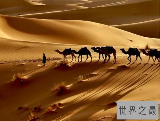 10.世界最大的沙漠 撒哈拉沙漠