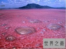【图】世界十大最奇特的湖泊 有个湖的颜色竟全是粉红