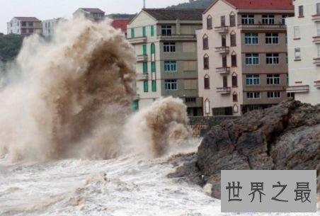 1975年中国台风尼娜