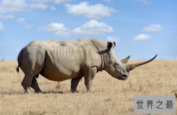 【图】世界上最贵的十种罕见货色 反物质每克62万亿美