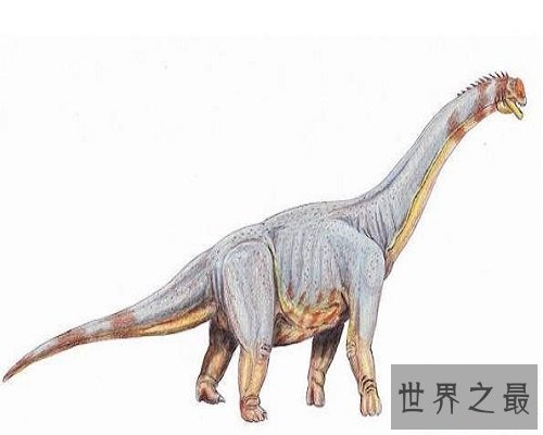 【图】世界上最大的、最长的恐龙，地震龙。