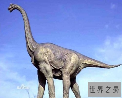 【图】世界上最大的、最长的恐龙，地震龙。