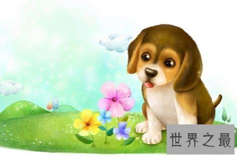 【图】属狗2018年运势，运程