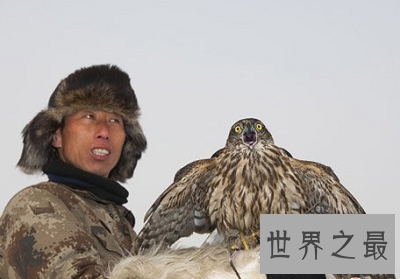 【图】最仁慈驯化猎鹰的方法：熬鹰