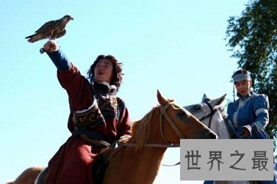 【图】最仁慈驯化猎鹰的方法：熬鹰