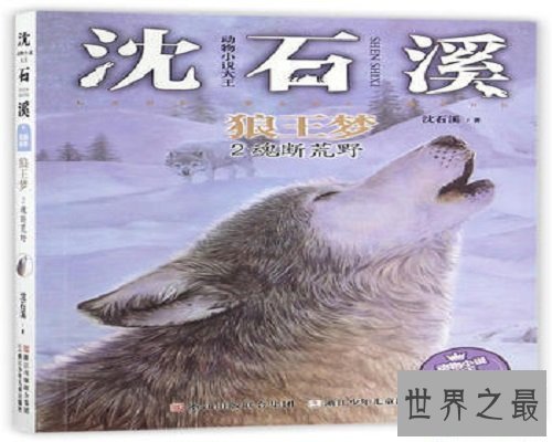 【图】狼王梦的故事，生活的斗争，你敢来吗
