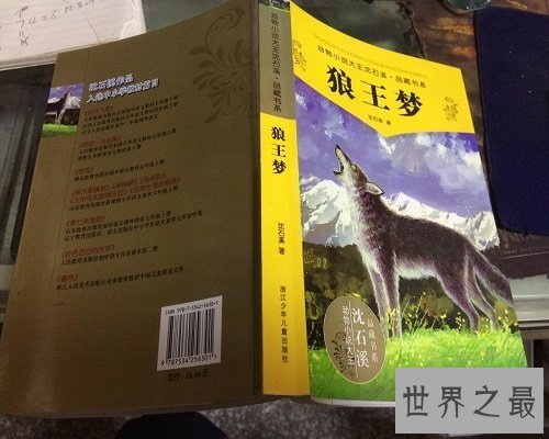 【图】狼王梦的故事，生活的斗争，你敢来吗