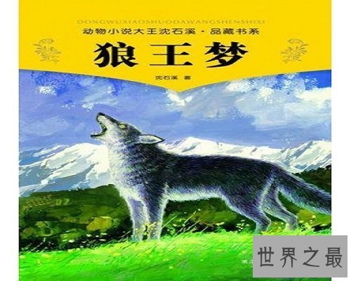 【图】狼王梦的故事，生活的斗争，你敢来吗