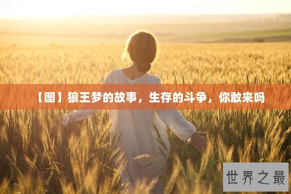 【图】狼王梦的故事，生存的斗争，你敢来吗