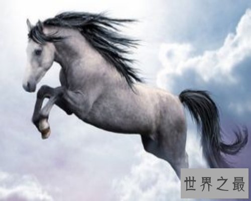 【图】你知道90年属什么嘛？