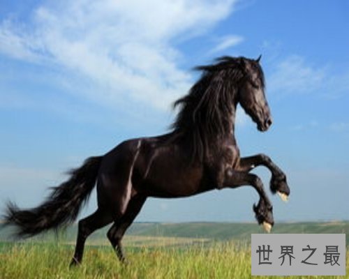 【图】你知道90年属什么嘛？