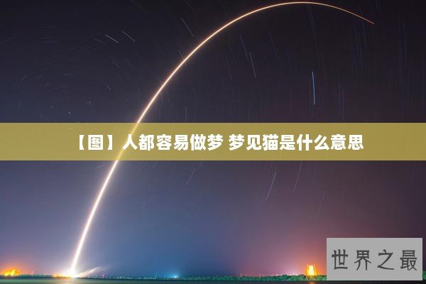 【图】人都容易做梦 梦见猫是什么意思