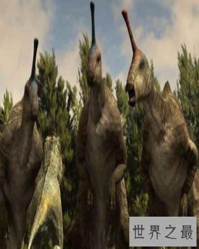 【图】关于恐龙的材料有哪些