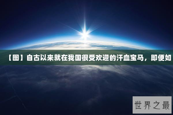 【图】自古以来就在我国很受欢迎的汗血宝马，即便如