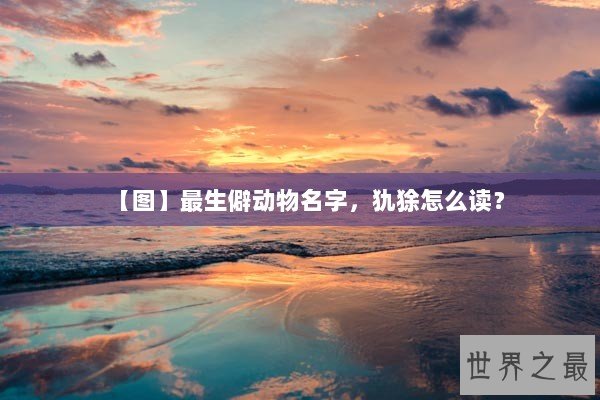 【图】最生僻动物名字，犰狳怎么读？