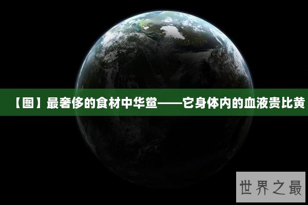 【图】最奢侈的食材中华鲎——它身体内的血液贵比黄
