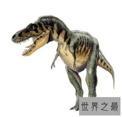 【图】史上最强的肉食类恐龙：特暴龙
