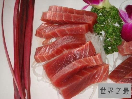 【图】鲔鱼这物种别说你没见过，你还吃过呢