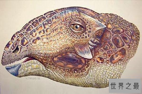 【图】十大最适宜和单身狗结伴的狗品种！