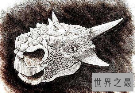 【图】牛头怪甲龙非怪物，而是长得呆萌的恐龙