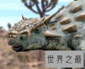 【图】牛头怪甲龙非怪物，而是长得呆萌的恐龙